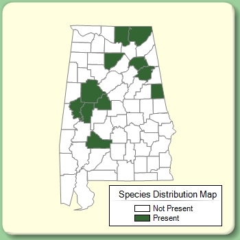 Species Distribution Map