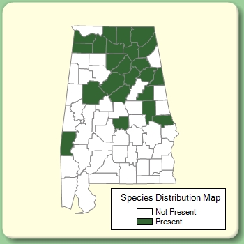 Species Distribution Map