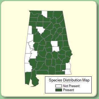 Species Distribution Map