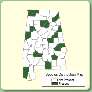 Species Distribution Map