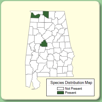 Species Distribution Map