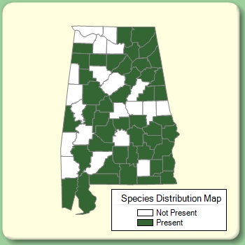 Species Distribution Map