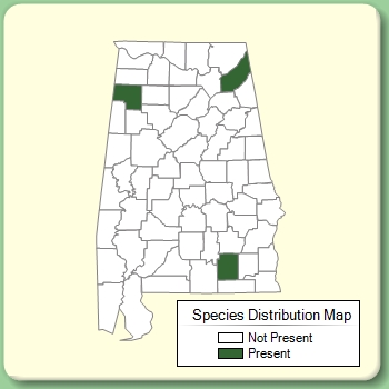 Species Distribution Map