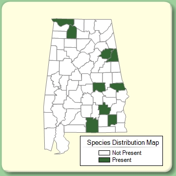 Species Distribution Map