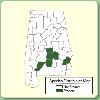 Species Distribution Map