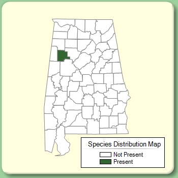 Species Distribution Map