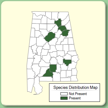 Species Distribution Map