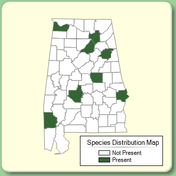 Species Distribution Map