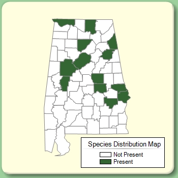 Species Distribution Map