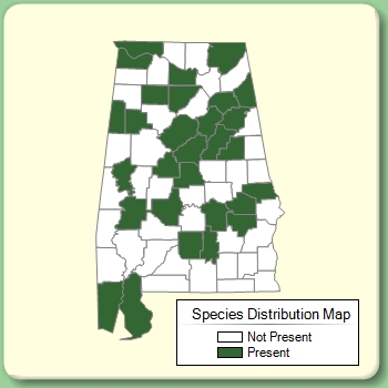 Species Distribution Map