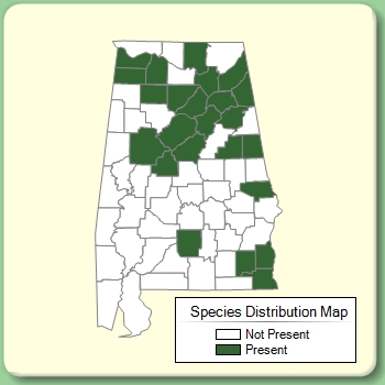 Species Distribution Map