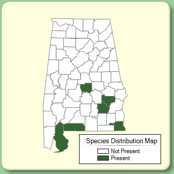 Species Distribution Map