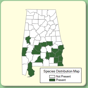 Species Distribution Map