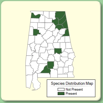 Species Distribution Map