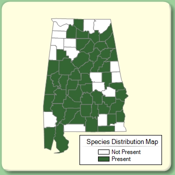 Species Distribution Map