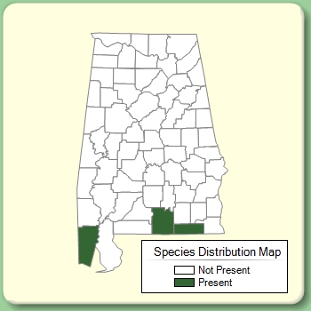 Species Distribution Map