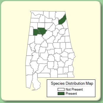 Species Distribution Map