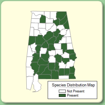 Species Distribution Map