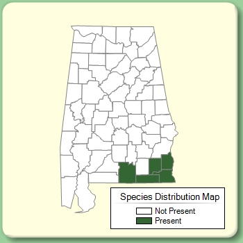 Species Distribution Map