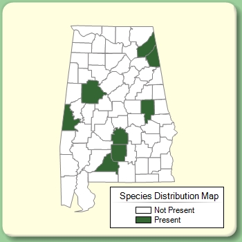 Species Distribution Map