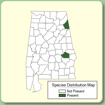 Species Distribution Map