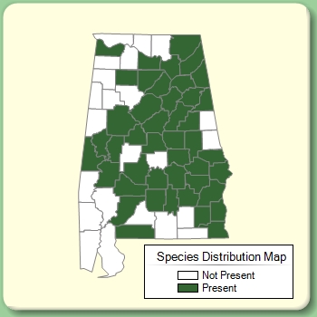 Species Distribution Map