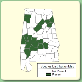 Species Distribution Map