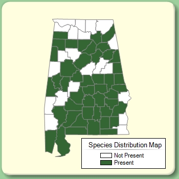 Species Distribution Map