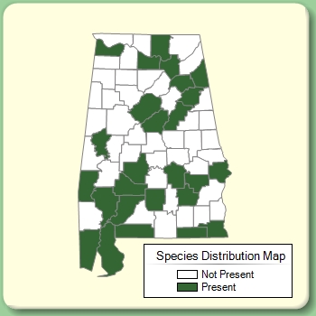 Species Distribution Map