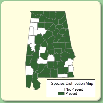 Species Distribution Map