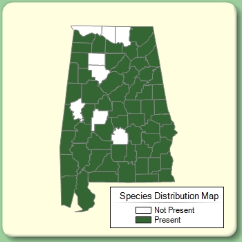 Species Distribution Map