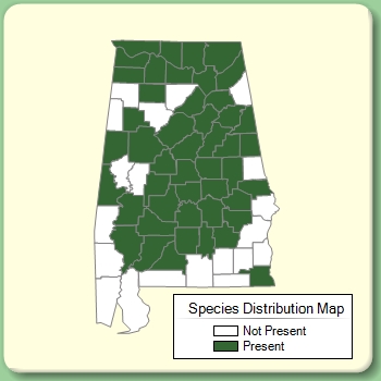 Species Distribution Map