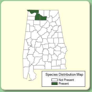 Species Distribution Map