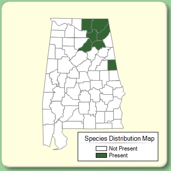 Species Distribution Map