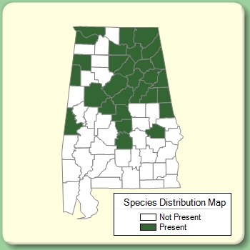 Species Distribution Map