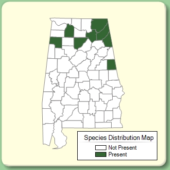 Species Distribution Map