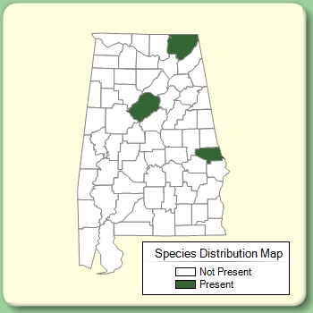 Species Distribution Map