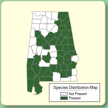 Species Distribution Map