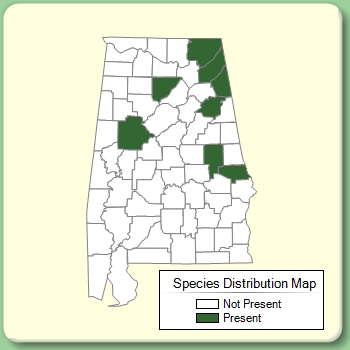 Species Distribution Map