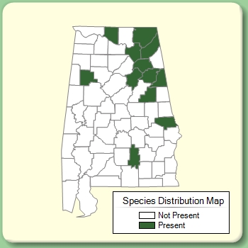 Species Distribution Map