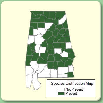 Species Distribution Map