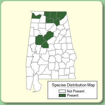 Species Distribution Map