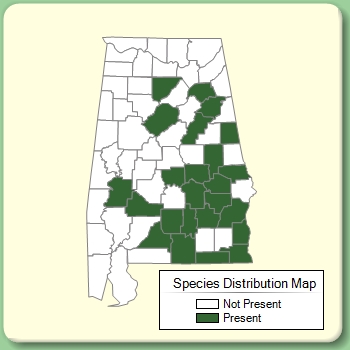 Species Distribution Map