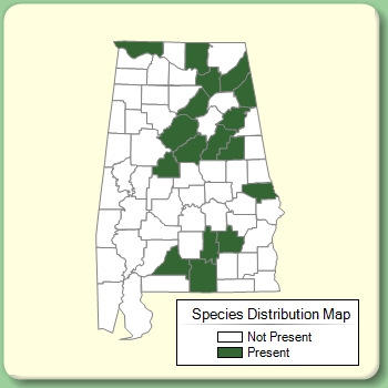 Species Distribution Map