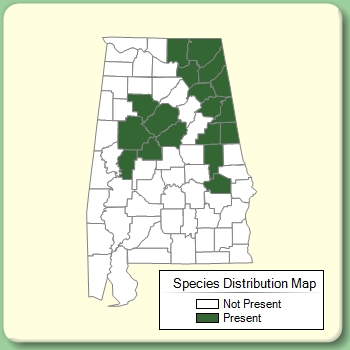 Species Distribution Map