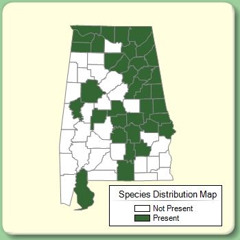 Species Distribution Map