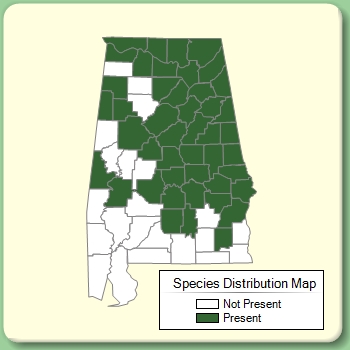 Species Distribution Map