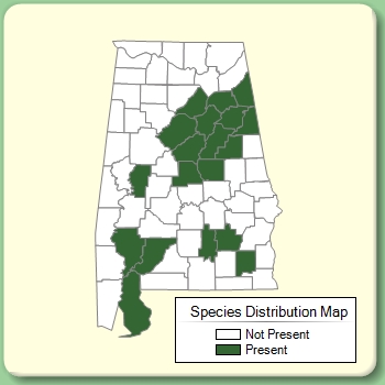 Species Distribution Map