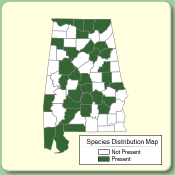 Species Distribution Map