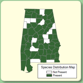 Species Distribution Map